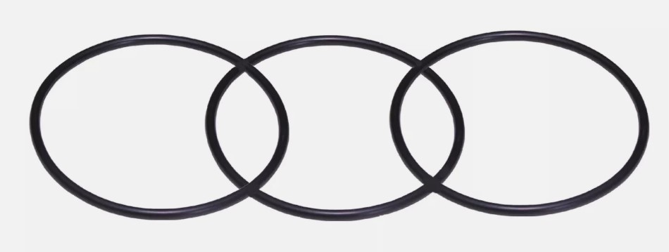 Neck O-Ring