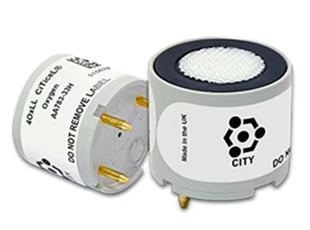 H2S Sensor/BW Gas Alert