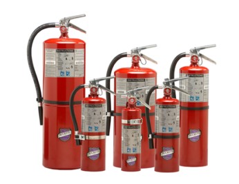 5lb ABC Fire Ext w/wall hook
