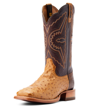BOOTS, MNS BRONCY ANTQ SADDLE FULL QUILL OSTRICH/CHESTNUT