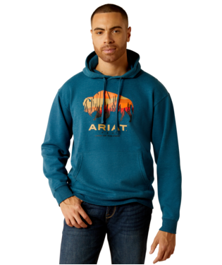 SWEATSHIRT, MNS BISON PLAINS HOODIE HYDRA HEATHER