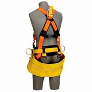 1001120 - 3M™ DBI-SALA® Web Seat Sling 1001120, Polyester, 4 in Wide