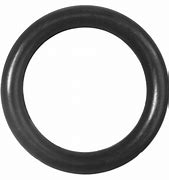 10010667 - 10010667 B,O'RING (EZFLO PURGE BODY) C5