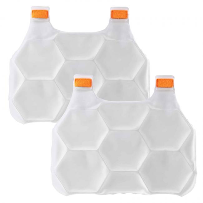 Chill-Its 6220 Rechargeable Phase Change Packs for Cooling Vest (2-Pack)