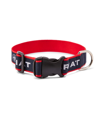 [10036573] DOG COLLAR TEAM