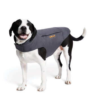 [10033145] DURACANVAS DOG JACKET REBAR GRAY