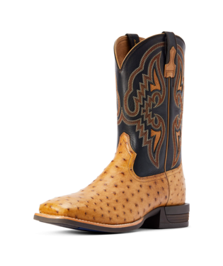 [10042474] BOOTS, MNS DAGGER ANTIQUE SADDLE FULL QUILL OSTRICH/BHMN BLACK