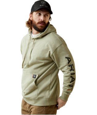 [10043588] SWEATSHIRT, MNS REBAR GRAPHIC HOODIE DESERT SAGE/ BEETLE