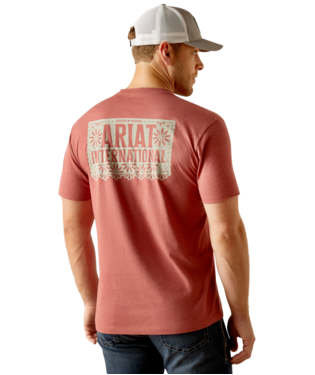 [10051386] MNS ARIAT SW ELEMENTS T SHIRT RED CLAY HEATHER