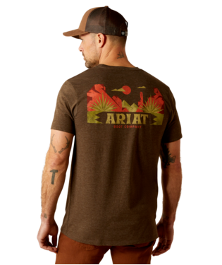 [10054004] MNS ARIAT MODERN MESA SHORT SLEEVE T SHIRT BROWN HEATHER