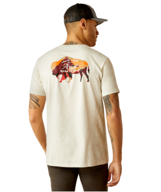[10052571] MNS BISON LANDSCAPE SHORT SLEEVE T SHIRT OATMEAL HEATHER