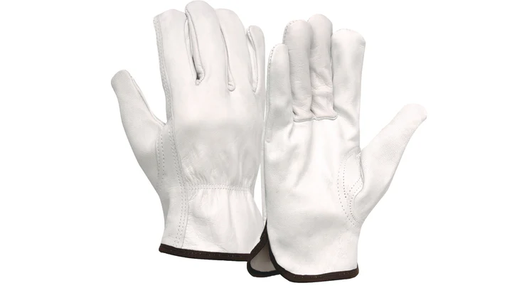 GL3011K-PAIR Gloves, Goat Unlined Value Grade