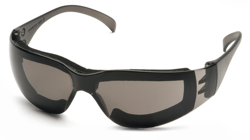 [S4120STFP] Glasses, Intruder - Gray-Hardcoated Anti-fog - Gray w/Full Foam Padding