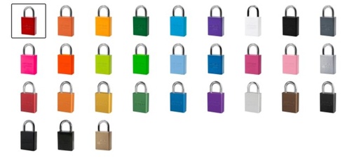 Lock Model 1105 (1" shackle) Keyed Different
