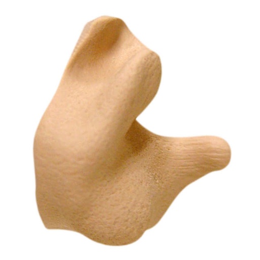 [CEP001-T] Earplugs NRR 26 • Easy Do-It-Yourself Kit • Hypo-allergenic • Washable • Made in the USA Poly Bag - Tan Plugs